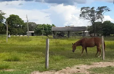 Fazenda com 1 sala à venda na Rua Coronel Botelho, 10, Centro, Nossa Senhora do Livramento