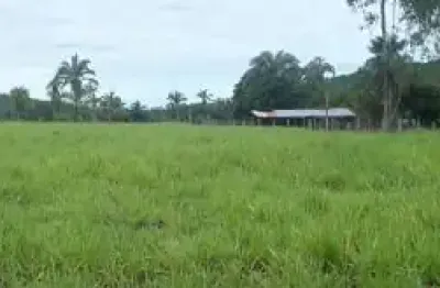 Fazenda com 1 sala à venda na Rua Fernando Correa da Costa, 10, Zona Rural, Barão de Melgaço