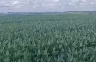 Belíssima Fazenda  a venda  próximo a cidade de Paranatinga-MT