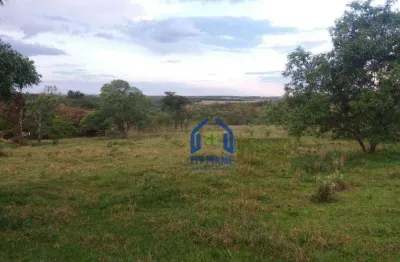 Terreno à venda, 24200 m² por r$ 1.350.000,00 - chácara recreio nossa senhora do líbano (zona rural) - são josé do rio preto/sp