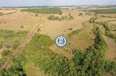 Sítio com 2 dormitórios à venda, 169 m² por r$ 4.200.000 - centro (engenheiro schmitt) - são josé do rio preto/sp