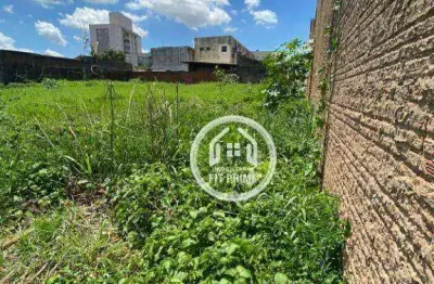 Terreno à venda, 350 m² por r$ 265.000 - vila maceno - são josé do rio preto/sp