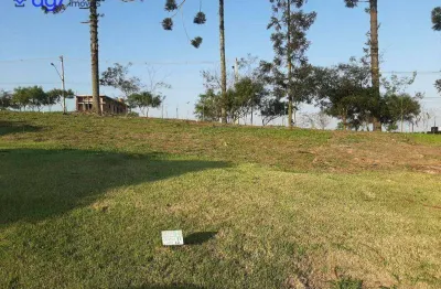 Terreno em condomínio fechado à venda na Rodovia Raposo Tavares, 9999, Centro, Cotia