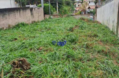 Terreno à venda - cidade são francisco - são paulo/sp