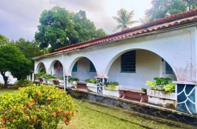 Ponto comercial com 3 casas para montar clínica, creche, escola, associações, centros..