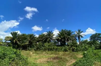 Terreno à venda no Cascalheira, Camaçari 