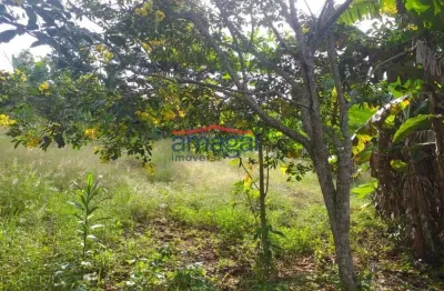 Chácara / sítio com 2 quartos à venda na zona rural, santa branca  por r$ 220.000