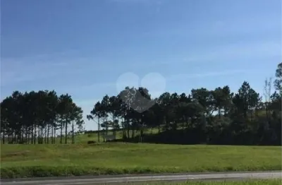 Terreno comercial para alugar na Rodovia Raposo Tavares, 90, Vila Artura, Sorocaba
