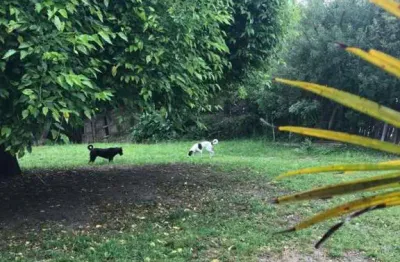Terreno em condomínio para venda em são gonçalo pelotas-rs -