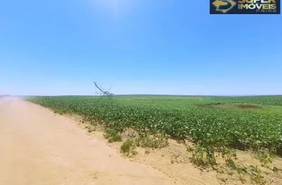 Fazenda de excelência no rs 2.100 hectares cachoeira do sul