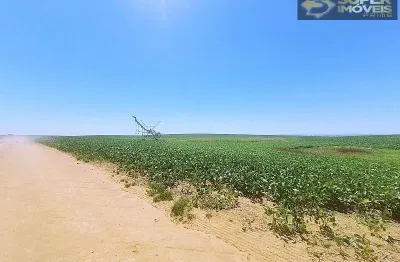 Fazenda com 2 salas à venda na Área Rural de Cachoeira do Sul, Cachoeira do Sul 