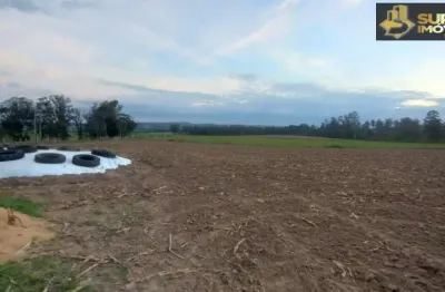 Fazenda com 1 sala à venda na Zona Rural, Capão do Leão 