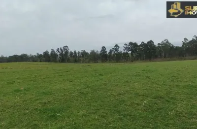 Fazenda à venda na Zona Rural, Canguçu 
