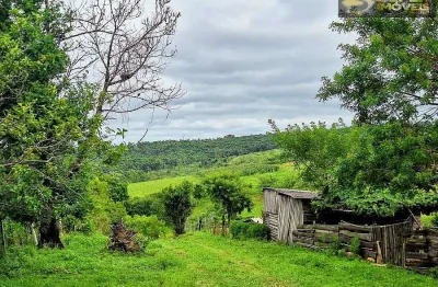 Chácara / sítio com 3 quartos à venda na Zona rural, Pelotas 