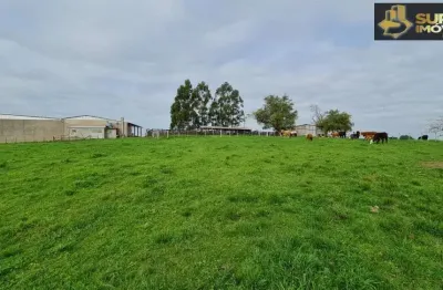 Fazenda com 1 sala à venda na Colônia Nova, Aceguá 
