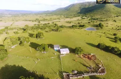 Fazenda com 1 sala à venda na ÁRea Rural, Centro, Herval