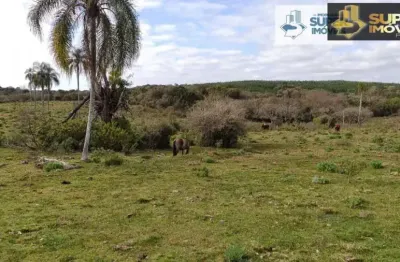 Fazenda com 1 sala à venda no Centro, Canguçu 