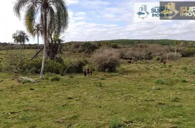 Fazenda com 1 sala à venda no Centro, Canguçu 