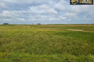 Fazenda com 1 sala à venda na Rodovia BR-392, Quinta, Rio Grande