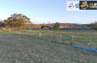 Chácara / sítio com 2 quartos à venda na Zona Rural, Centro, Piratini