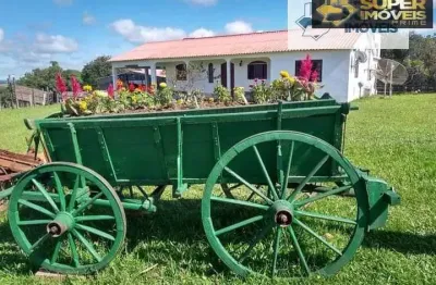 Chácara / sítio com 6 quartos à venda na Zona Rural, Centro, Morro Redondo