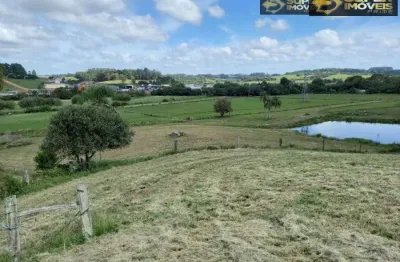 Chácara / sítio com 6 quartos à venda na Zona Rural, Centro, São Lourenço do Sul