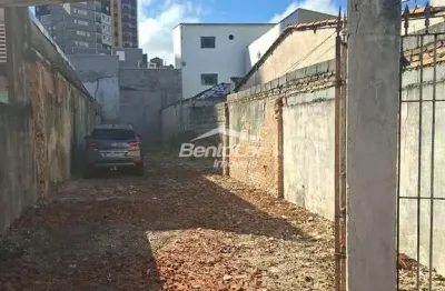 Terreno para alugar na Rua Paulo de Faria, Tucuruvi, São Paulo