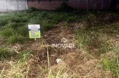 Terreno à venda, 250 m² por r$ 115.000,00 - residencial sonho verde - itumbiara/go