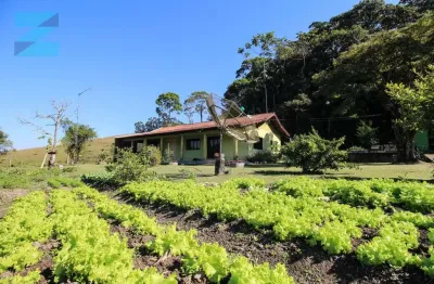 Chácara / sítio com 3 quartos à venda no centro, ilhota , 300 m2 por r$ 3.000.000