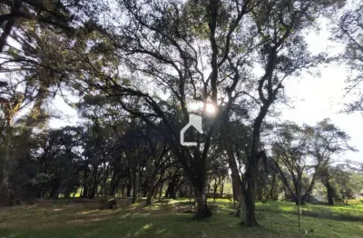 Terreno à venda na Estrada Geral de Pinheiros, Água Verde, Canoinhas