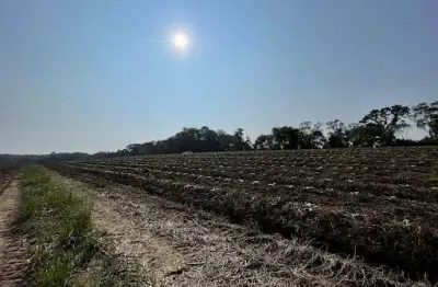 Terreno à venda na Rua Marechal Floriano Peixoto, Alto de Mafra, Mafra