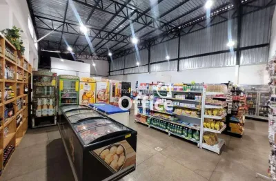 Galpão à venda, 270 m² por r$ 1.800.000,00 - vila formosa - anápolis/go