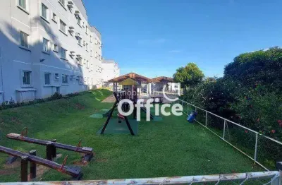 Apartamento com 2 quartos à venda, 58 m² por r$ 240.000 - jardim suíço - anápolis/go