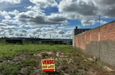 Terreno à venda, 300 m² por r$ 200.000,00 - residencial cerejeiras - anápolis/go