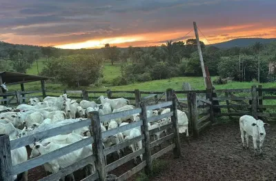 Fazenda com 2 salas à venda na ÁRea Rural, Zona Rural, Minaçu
