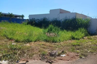 Terreno comercial à venda na Rua RC-16, Residencial Cerejeiras, Anápolis