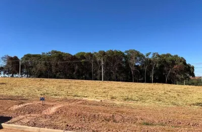 Terreno à venda, 10000 m² por r$ 2.500.000,00 - parque calixtópolis - anápolis/go