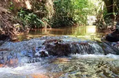 Chácara / sítio com 2 quartos à venda na Go-474, Zona Rural, Abadiânia