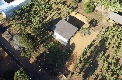 Chácara com 1 dormitório à venda, 5000 m² por r$ 650.000,00 - vila rica - anápolis/go