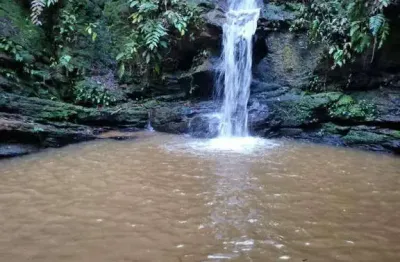 Chácara à venda, 22000 m² por r$ 450.000,00 - rural - abadiânia/go