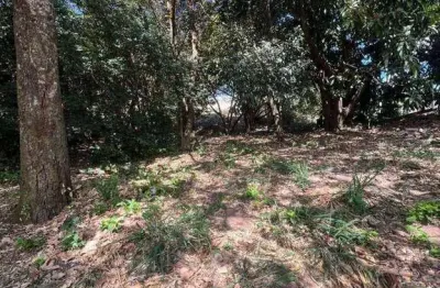 Terreno à venda, 1000 m² por r$ 450.000 - jardim bela vista - anápolis/go