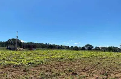 Chácara à venda, 20000 m² por r$ 450.000,00 - zona rural - interlândia/go