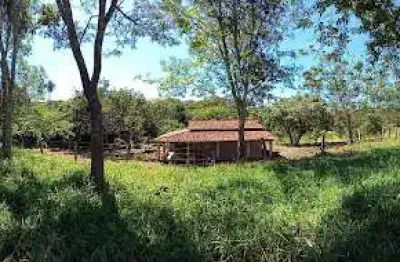 Chácara à venda, 24000 m² por r$ 670.000,00 - bonfinopolis - bonfinópolis/go