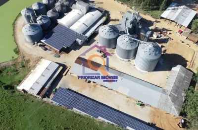 Fazenda com 2 salas à venda na ÁRea Rural, Zona Rural, São Gabriel do Oeste