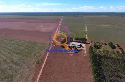 Excelente fazenda 40.000 ha dupla aptidão a venda em cocos b