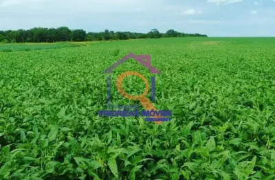 Fazenda de dupla aptidão com 1.481 ha (306) alqueires em porangatu  go.