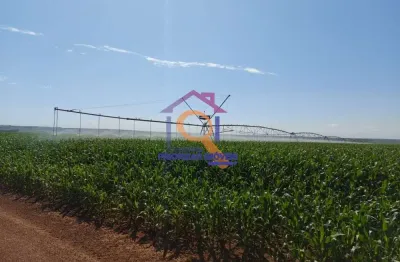 Fazenda com 2 salas à venda na ÁRea Rural, Zona Rural, Ipameri