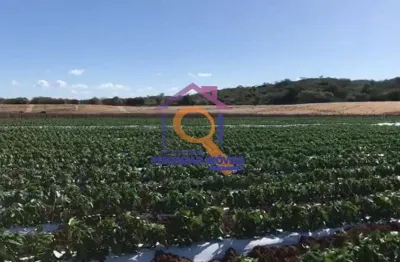 Fazenda de dupla aptidão com 988 ha formada em ibimirim - pe