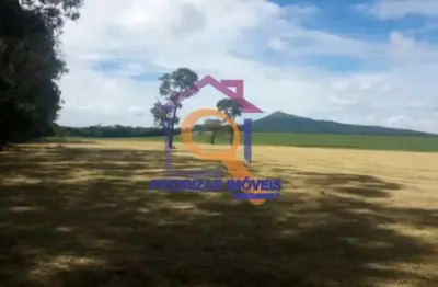 Excelente fazenda 1.000 hectares dupla aptidão a venda, morr