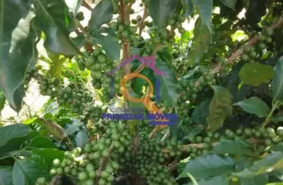Fazenda de café e pecuária com 374 ha em varginha-mg